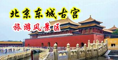 插逼操穴视频中国北京-东城古宫旅游风景区